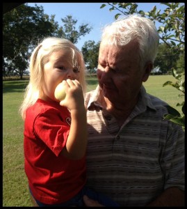 Madie-Apple