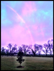 RAINBOWApr14